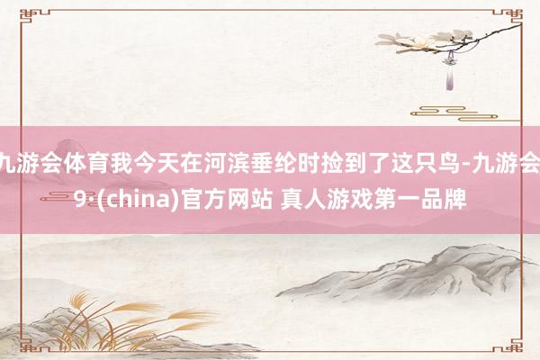 九游会体育我今天在河滨垂纶时捡到了这只鸟-九游会J9·(china)官方网站 真人游戏第一品牌